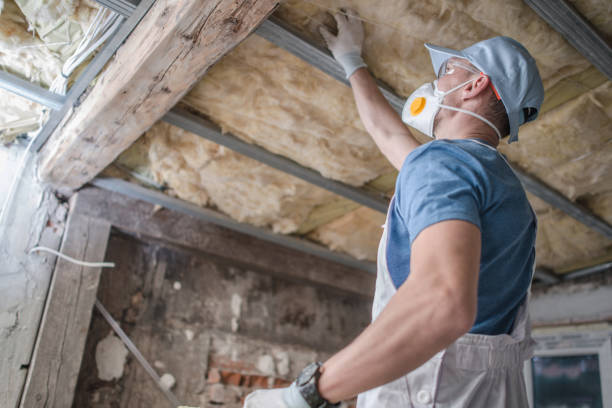 Best Types of Insulation in Lake Isabella, MI