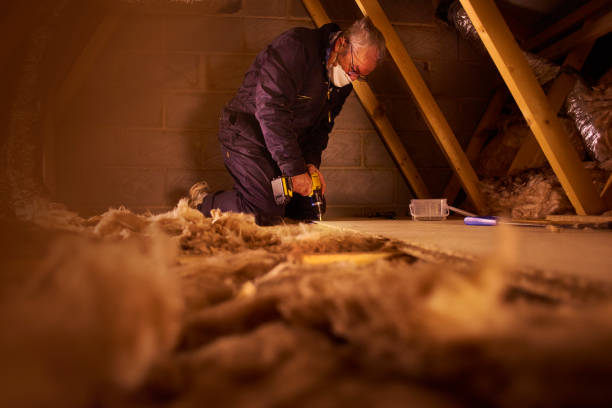 Best Commercial Insulation in Lake Isabella, MI